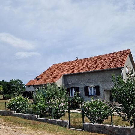 Apartman Lana Kijevo 外观 照片